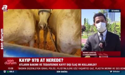 At skandalı büyüyor! DSP’li Nail Murat Pekin: “İBB’nin işini CHP Adalar İlçe Başkanı Ali Ercan Akpolat yaptı!.” (video haber)