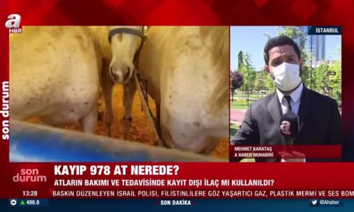 At skandalı büyüyor! DSP’li Nail Murat Pekin: “İBB’nin işini CHP Adalar İlçe Başkanı Ali Ercan Akpolat yaptı!.” (video haber)