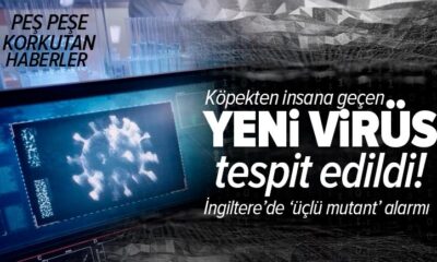 Köpeklerden insana geçen yeni coronavirüs türü tespit edildi!.
