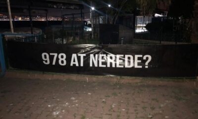 Hayvanseverlerden Adalar’da İBB’ye pankartlı soru! “Atlar nerede?.”
