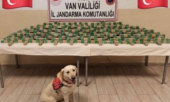 Van’da uyuşturucu operasyonu! 62 kilogram eroin ele geçirildi!.