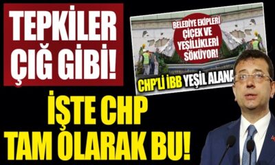 Ekrem İmamoğlu’nun dikey bahçe katliamına, vatandaştan sert tepki..