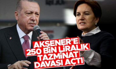 Cumhurbaşkanı Erdoğan’dan Akşener’e 250 bin liralık tazminat davası..