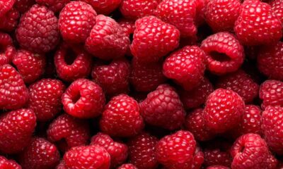 Yaz mevsiminden vitamin deposu, en besleyici 10 sebze ve meyve..