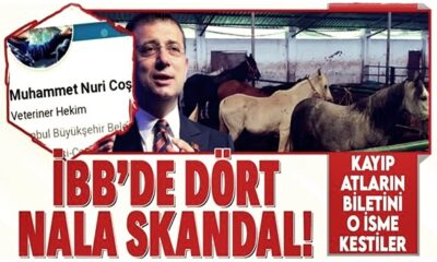 İBB’nin kayıp at skandalında flaş gelişme! Nuri Coşkun görevden alındı!. (video haber)