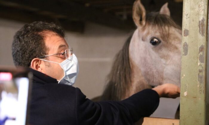 İl Tarım Müdürlüğü Ekrem’in kaybolan atlarla ilgili attığı kuyruklu palavrayı belgeleriyle ortaya koydu!.