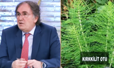 Tabiat Eczanesinden gelen şifa! Bel fıtığını yok eden bitki kürü..