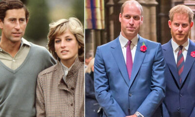 Prens William ve Prens Harry, BBC’yi anneleri Prenses Diana’nın ölümüne katkı yapmakla suçladı!.