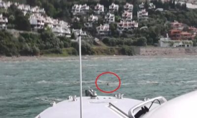 Bursa’da Müsilaj istilasında ki sularda can pazarı..