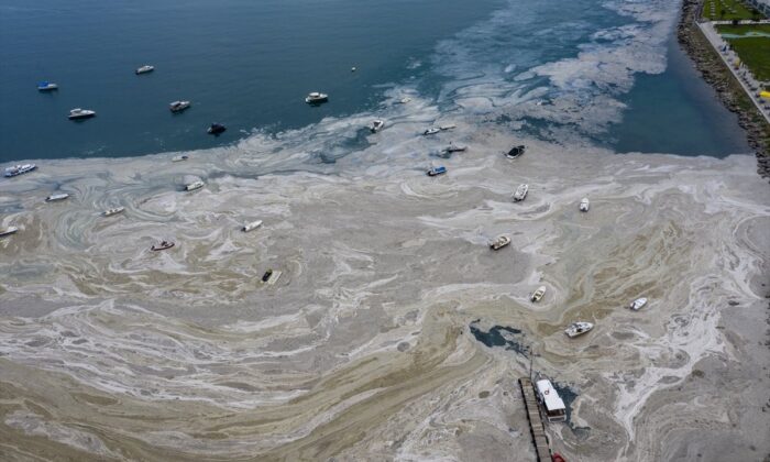 AK Parti’den TBMM’ye müsilaj önergesi..