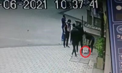 Bursa’da pitbull dehşeti..