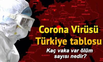 20 Haziran verileri açıklandı! Covid-19 pandemisinde son durum..