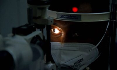 Kara mantar hastalığı Meksika’ya sıçradı!.