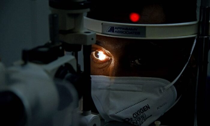 Kara mantar hastalığı Meksika’ya sıçradı!.