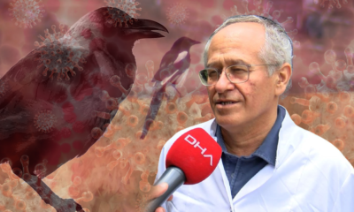 İstanbul’da Batı Nil Virüsü.. “Ölü kuşlarla temas kurmayın!.”