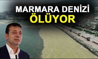 Ekrem İmamoğlu’ndan hayır gelmeyince YÖK olaya el attı!.