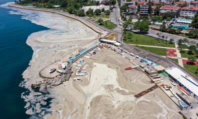 Deniz salyası Karadeniz’e de sıçradı!.