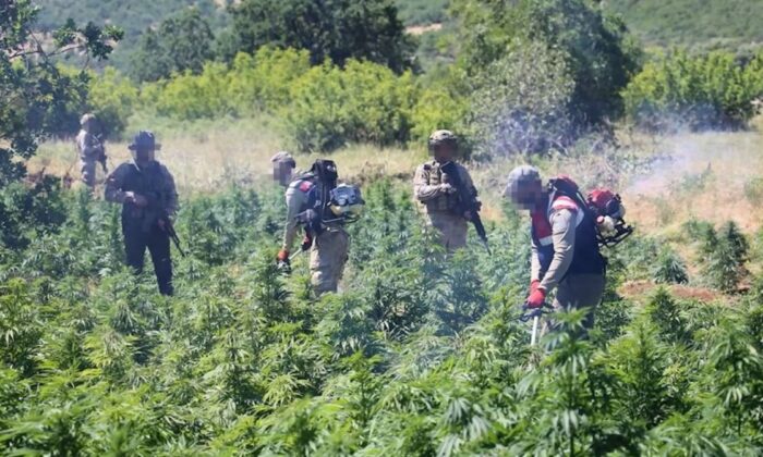 Diyarbakır’da dev narko terör operasyonu..