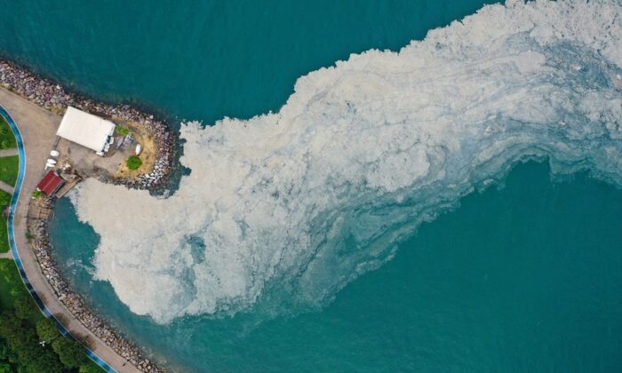 Marmara Denizi korkutuyor! Bostancı Sahili’nde deniz salyası yoğunluğu su altı kamerasıyla görüntülendi!.