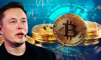 Elon Musk’ın Bitcoin paylaşımı piyasaları altüst etti!.