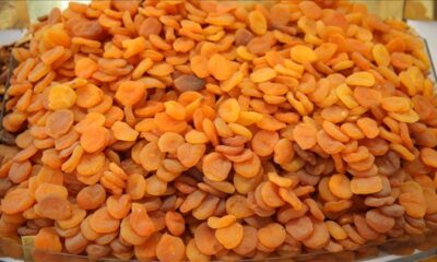 Malatya’dan 141 milyon dolarlık ihracat…