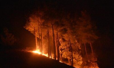 Adana Kozan’daki yangın kontrol altına alındı!.