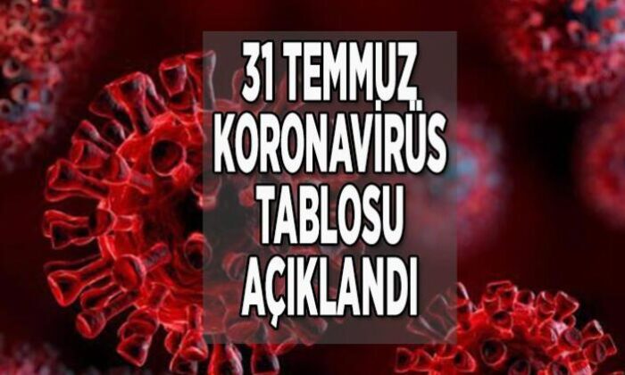 31 Temmuz verileri açıklandı! Coronavirüs pandemisinde son durum..