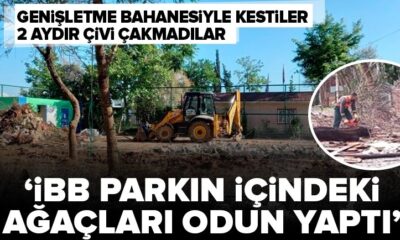 Bunlar çevreci değil miydi?! İBB Kartal’da park genişletme bahanesiyle ağaçları kesti, iki aydır tek çivi çakmadı!.