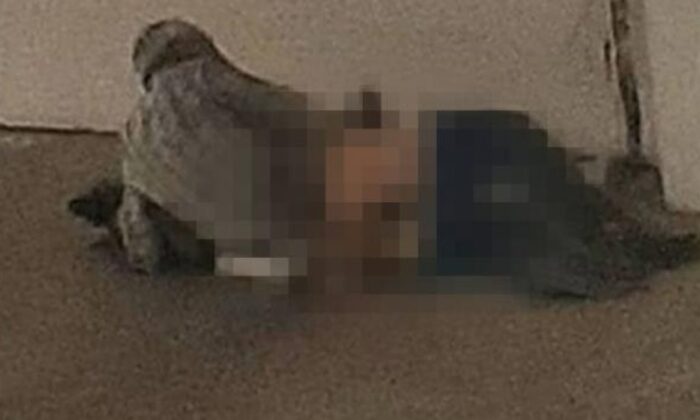 Köpeğe tecavüz ederken yakalanan sapık, para cezasıyla kurtuldu!.