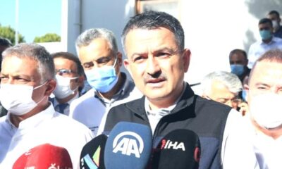 Bekir Pakdemirli, Manavgat yangınıyla ilgili PKK’yı işaret etti!.
