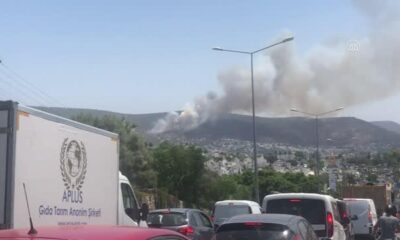 Bodrum’da makilik ve ormanlık alanda yangın..