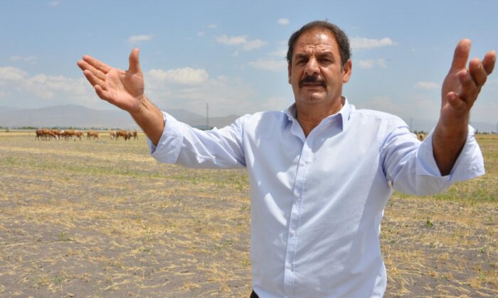 Erzurum’da 7 bin lira maaşla çalışacak çoban bulunamıyor!.