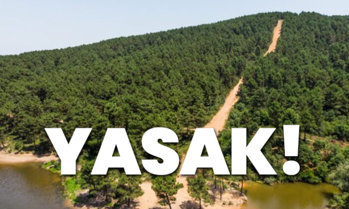İstanbul’da ormanlık alanlara giriş yasaklandı!.