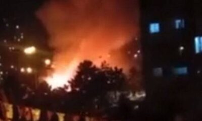 İstanbul’da ormanlık alanda yangın.. (video haber)
