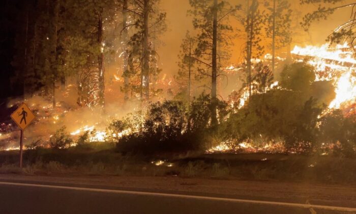 İtfaiyecilerin alevlerle mücadelesi! Kaliforniya yanıyor!.