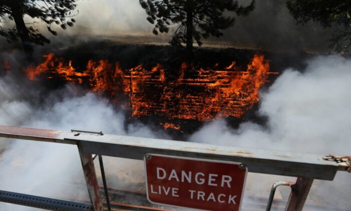 Kaliforniya’da başlayan orman yangını büyüyor!.