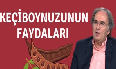 Akciğerlerinizi tabiat eczanesinden harnup mucizesi ile temizleyin! Prof. İbrahim Saraçoğlu’ndan keçiboynuzu kürü..