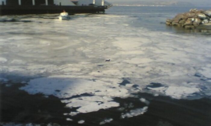 Marmara Denizi’nden toplanan müsilajın miktarı 10 milyon metreküpü geçti!.