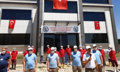 Türk Silahlı Kuvvetleri Mehmetçik Vakfı vekalet yoluyla kurban kesimi başvurularını almaya başladı!.