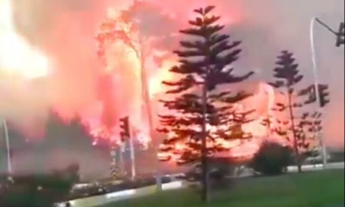 Manavgat’ta 4 farklı noktada eş zamanlı yangın başladı!.