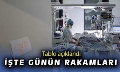 19 Ağustos Covid-19 verileri açıklandı! Küresel salgınla mücadelede son durum..