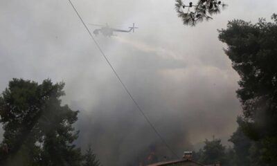 Yunanistan’da yanıyor! Mora’da çıkan orman yangınına müdahale sürüyor!.