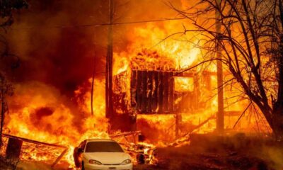 ABD’li uzmandan korkutan uyarı! ”Dünya ateş çağına giriyor!.”