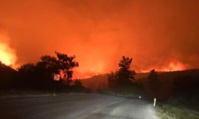 Bodrum’daki yangın kontrol altına alındı!.