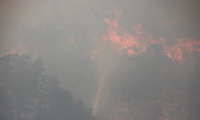 Bodrum yeniden alevlere teslim oldu!.