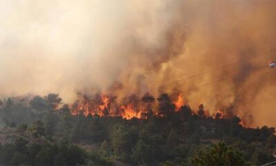 Denizli’deki yangınla ilgili MSB’den açıklama..