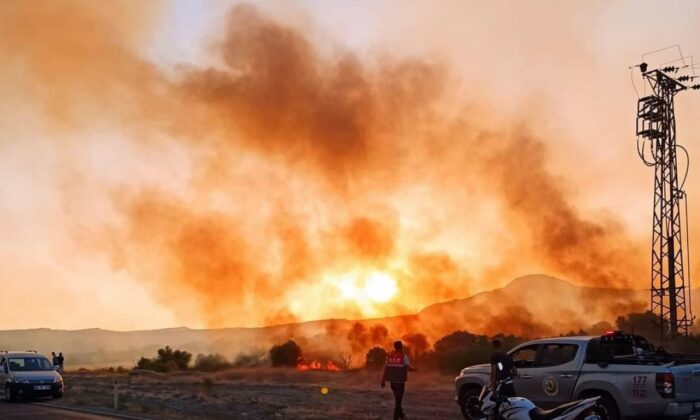 Ankara’da Nallıhan Kuş Cenneti’nde yangın..