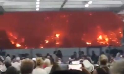 Göçmenleri botlarla ölüme iten Yunanlılar, feribotlarla alevlerden kaçıyor! “Tanrı bizi cezalandırdı!.”