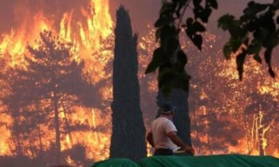 AFAD’dan orman yangınlarıyla mücadele edilen bölgelere girişler için uyarı..