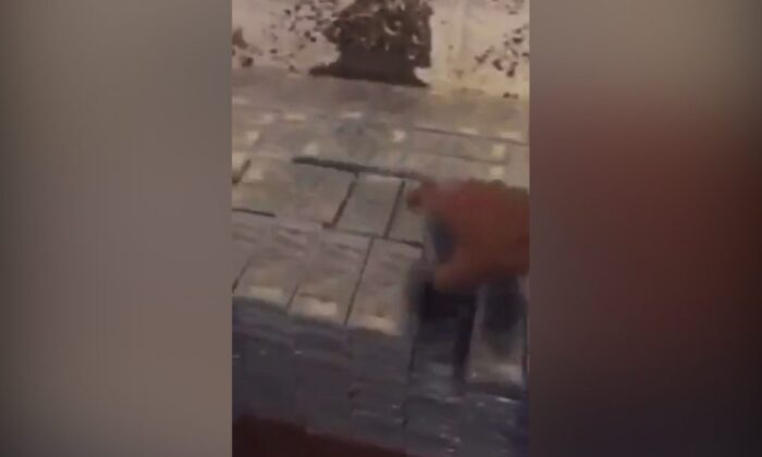 Amerikalı diplomat, Taliban’ın eline geçen para ve silahları paylaştı!.